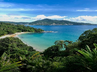 Book Hotels Online at Best Prices